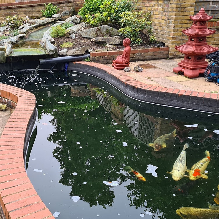 Regular pond maintenance visit keeping water clear and plants under control