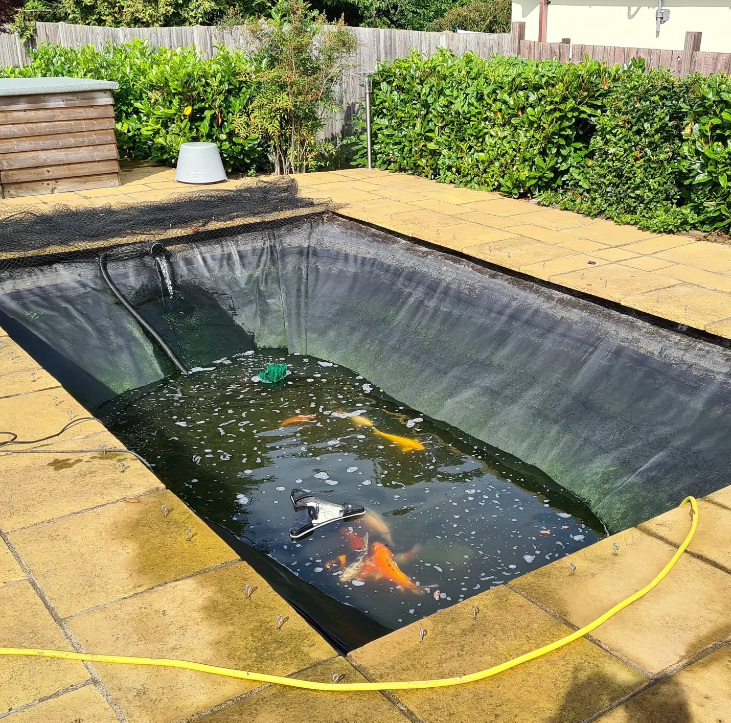Pond Clean Cleaning