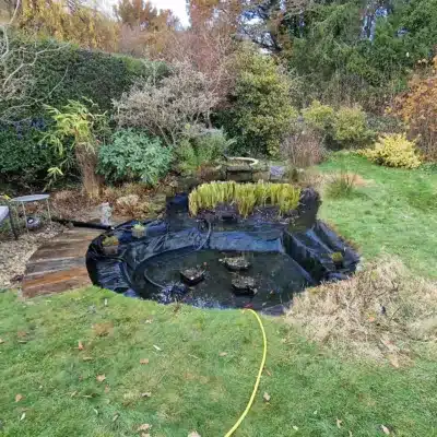 Pond Clean and Winter Maintenance - Horley, Surrey