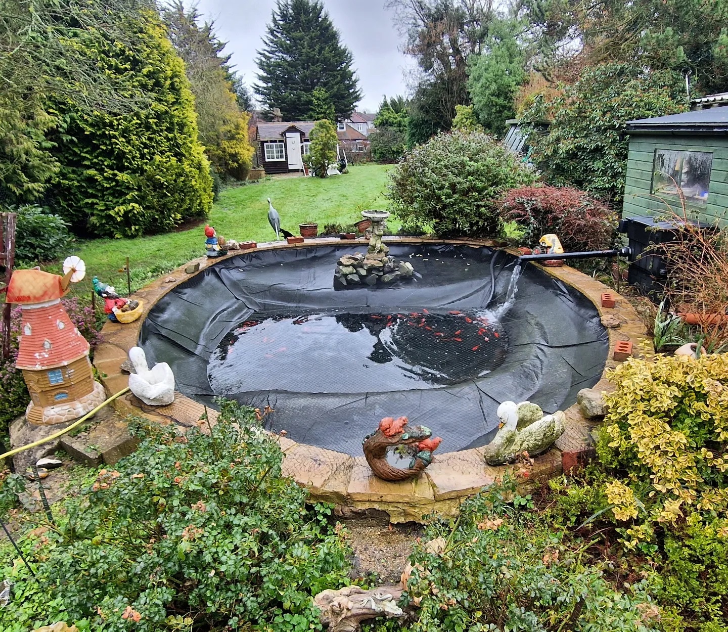 Pond Clean Cleaning