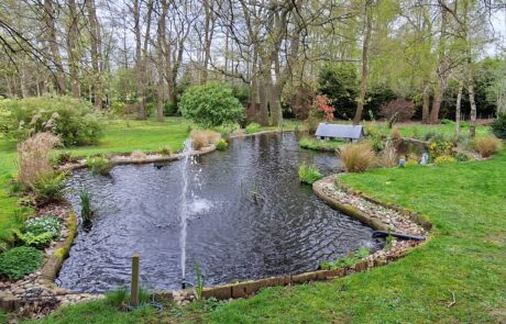 Pond Clean in Maidstone
