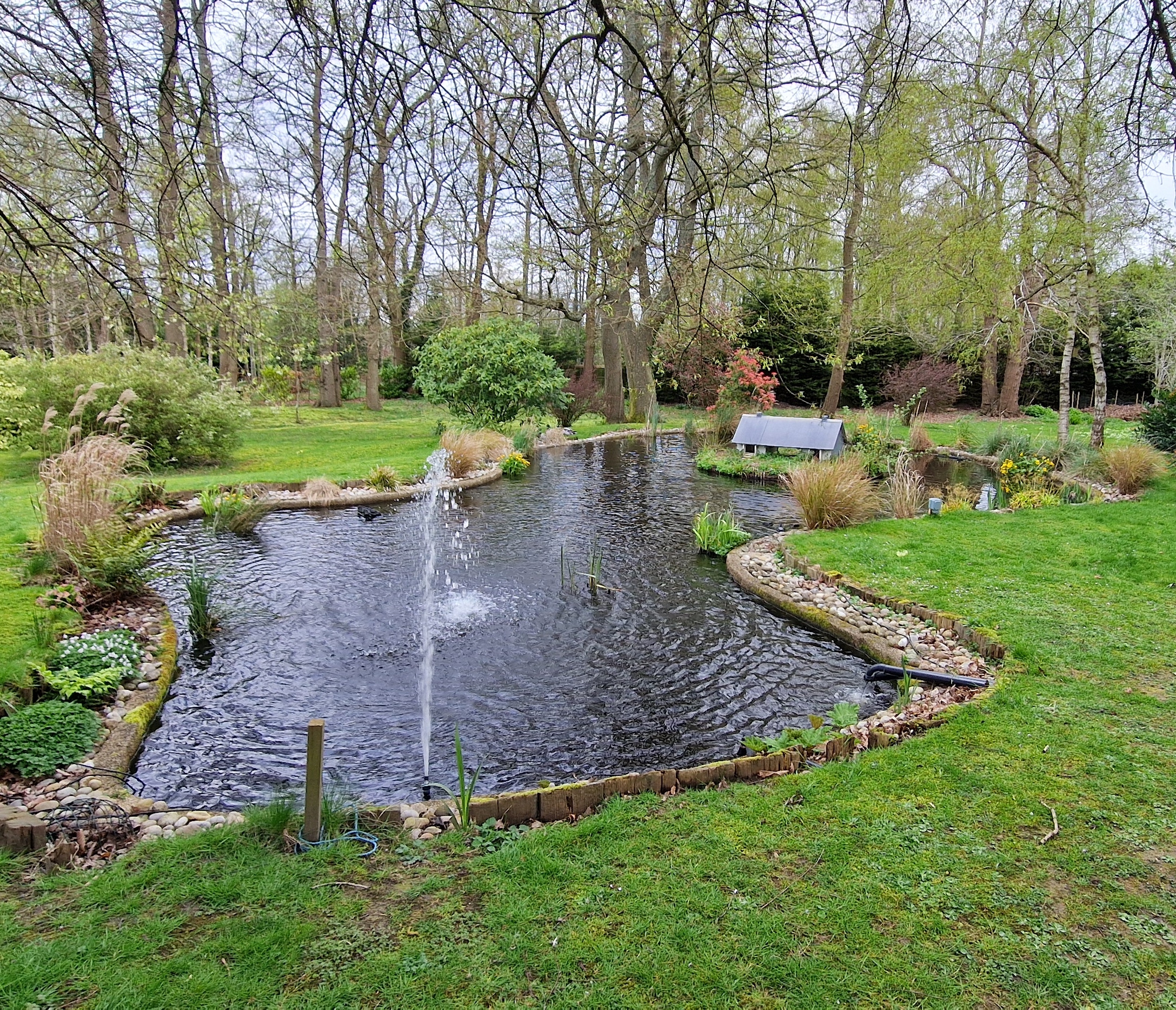 Pond Clean in Maidstone