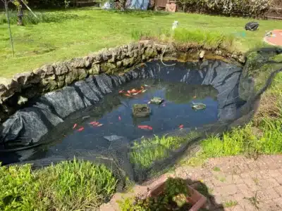 A lovely clean pond professionally cleaned by That Pond Guy