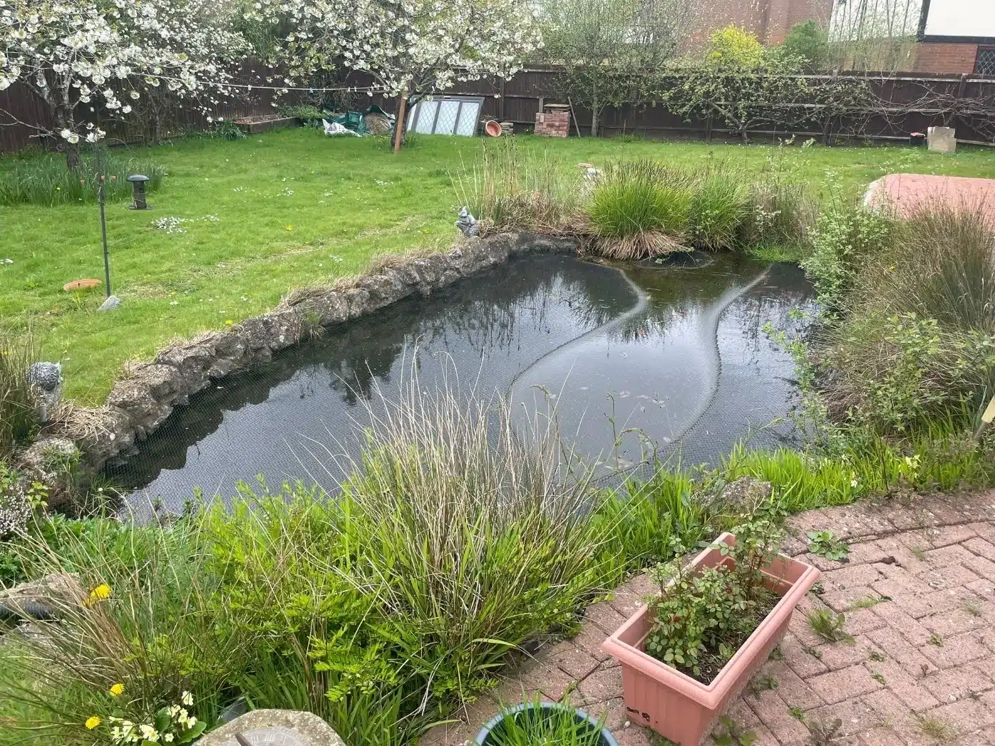 A pond with green, murky water covered in algae before a professional deep clean in Kent.