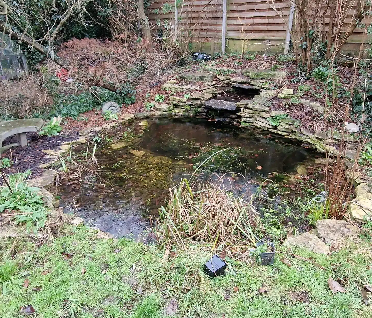 A pond covered in overgrown plants and debris before a full maintenance and cleaning service in Lewisham London.