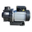 BADU Top 42 pond and spa pump with quiet motor and optional yellow strainer basket – compact design