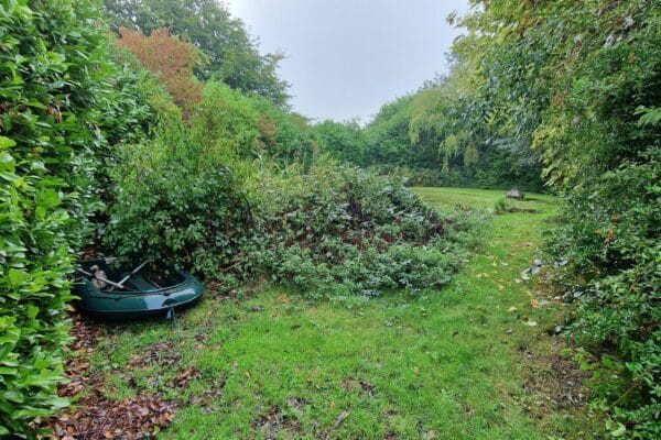 Large pond before winter maintenance with overgrown vegetation and debris