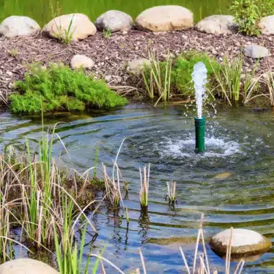 A wildlife pond with a small fountain aerator, enhancing oxygen levels and supporting the pond’s ecosystem.