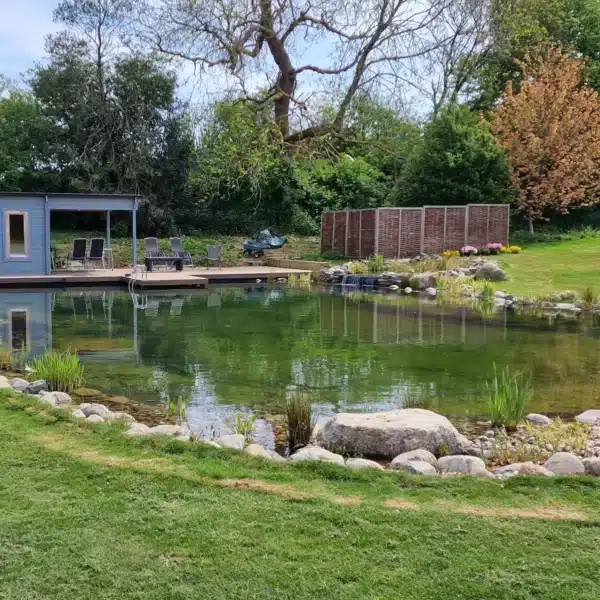 Pond Maintenance