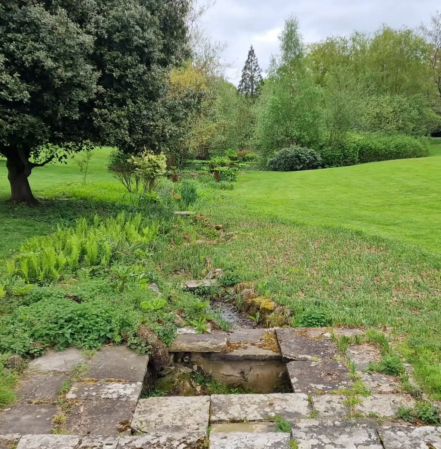 Beautiful man made stream in Kent thats very overgrown and unkept. Before image