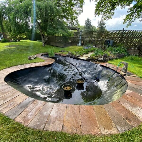 Pond Cleaning Services