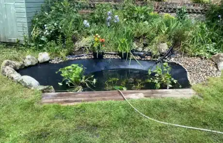 Wildlife Pond Fibreglassed, Waterproofed, and Replanted by That Pond Guy in London A wildlife pond expertly fibreglassed by That Pond Guy in London, now fully waterproof and enhanced with aquatic plants for a natural ecosystem.