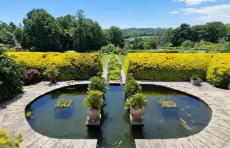 Large Koi Pond Fibreglassed and Rebuilt by That Pond Guy A large koi pond expertly fibreglassed and rebuilt by That Pond Guy, ensuring durability, waterproofing, and a premium finish for long-term performance.
