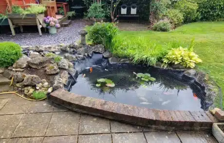 Pond Rendered and Fibreglassed by That Pond Guy for a Stunning Finish A pond expertly rendered and fibreglassed by That Pond Guy, now looking beautiful with a smooth, long-lasting surface.