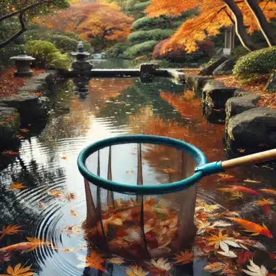 A pond skimmer net being used to collect fallen leaves and debris from the surface of a koi pond.