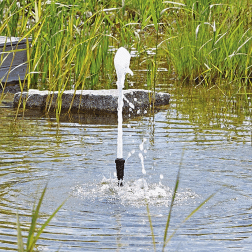 Oase Schaumsprudler 22 5 K fountain nozzle producing a tall bell shaped foam jet in a natural garden pond surrounded by plants.