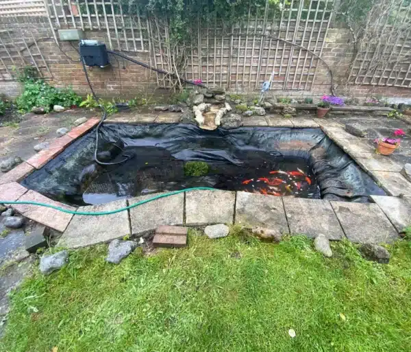 Clean pond after deep cleaning with clear water in Broadstairs, Kent