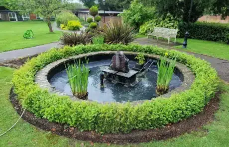 Pond after professional cleaning with clear water in Brentwood Essex