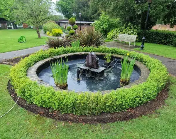 Pond after professional cleaning with clear water and healthy fish in Sevenoaks, Kent
