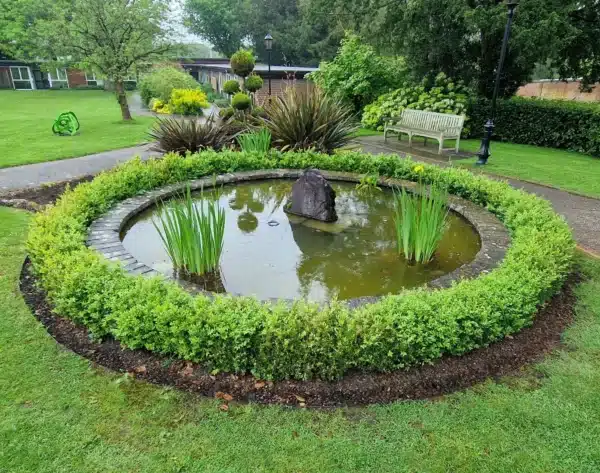 Pond before professional cleaning showing algae and murky water in Sevenoaks, Kent