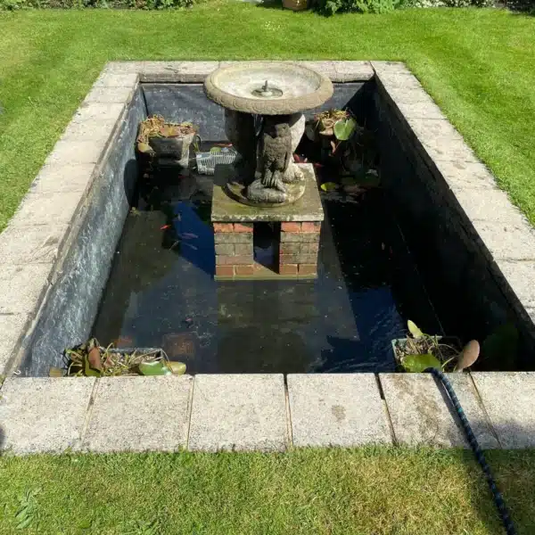 Pond after professional cleaning with clear water and healthy fish in Sussex