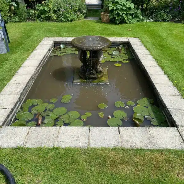 Pond before professional cleaning showing algae sludge and murky water in Sussex
