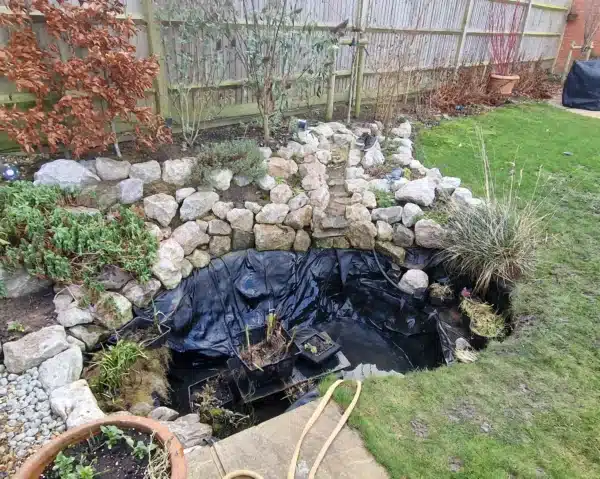 Pond after professional cleaning with clear water and healthy fish in Kent