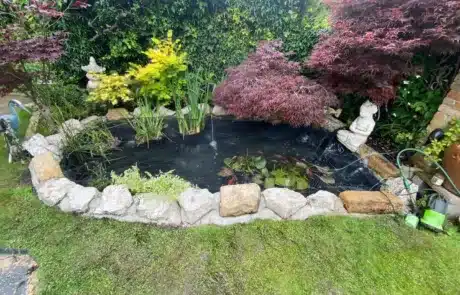Clean pond after deep cleaning in Loughton Essex
