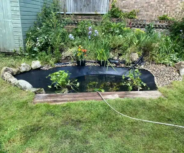 Pond after professional cleaning with clear water and healthy fish in Surrey