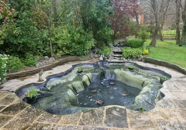 Clean pond after professional pond cleaning with clear water in East Sussex