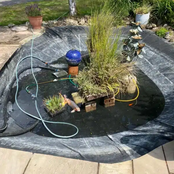 Pond after professional cleaning with clear water and healthy fish in Faversham, Kent