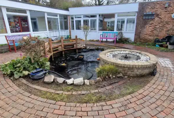 Clean pond after professional pond cleaning with clear water in Surrey