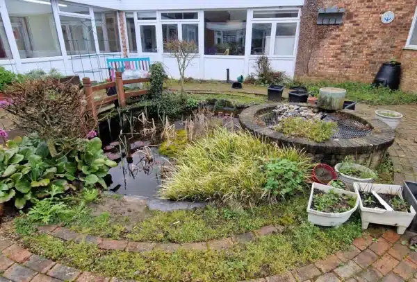 Overgrown pond before cleaning with debris and cloudy water in Surrey