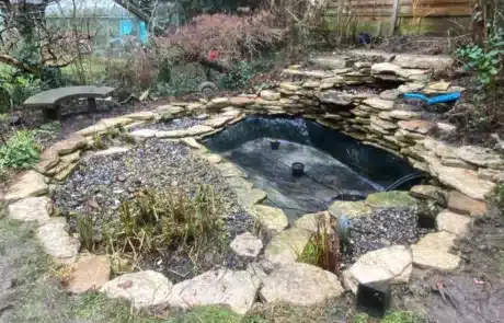 Pond after professional cleaning with clear water and healthy fish in East London