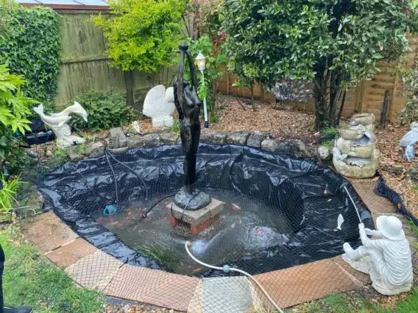 Pond after professional cleaning with clear water and healthy fish in Margate, Kent