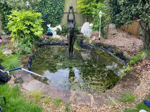 Pond before professional cleaning showing algae and murky water in Margate, Kent