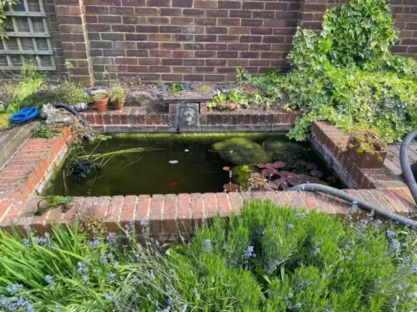 Neglected pond before cleaning with heavy debris in Chatham, Kent