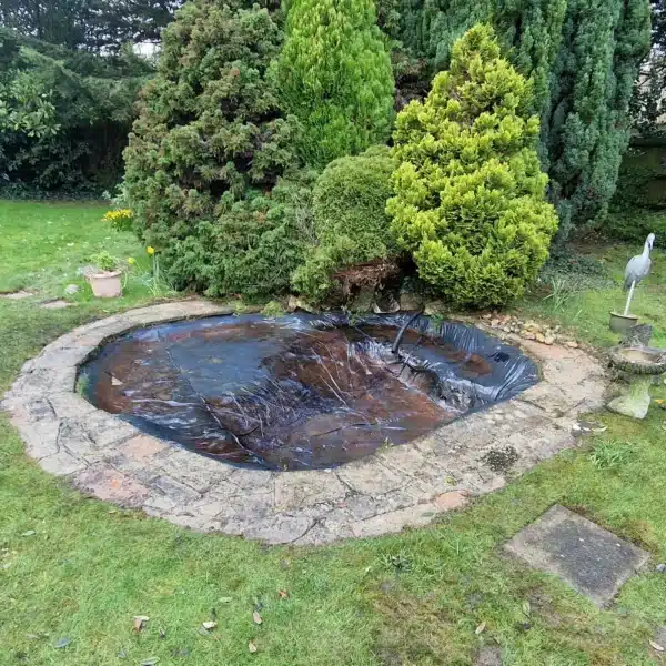Pond after professional cleaning with clear water and healthy fish in Rochester, Kent