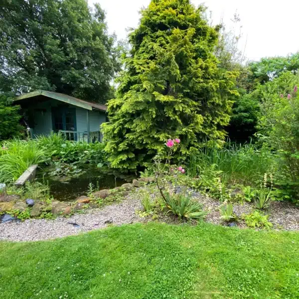 Neglected pond before deep cleaning with heavy sludge in West Sussex