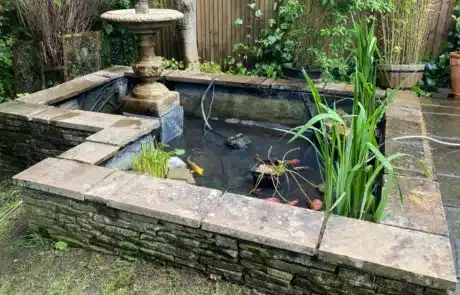 Clean pond after deep cleaning in Dartford Kent