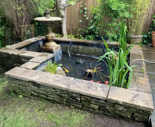 Clean pond after deep cleaning in Dartford Kent