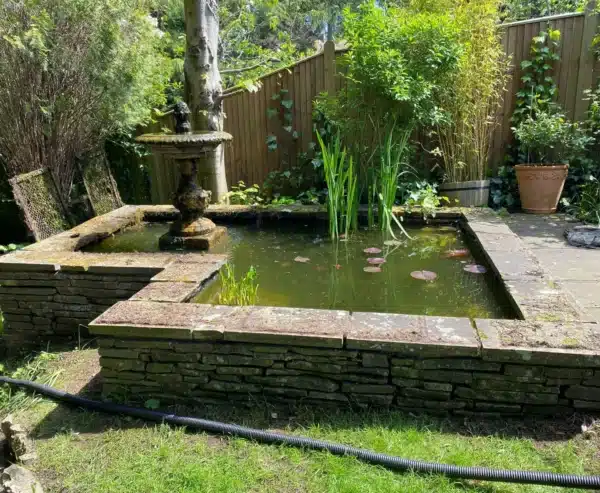 Overgrown pond before deep cleaning in Dartford Kent