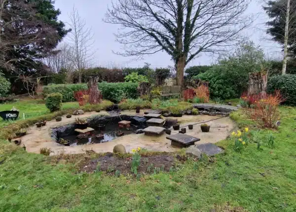 Pond after professional cleaning with clear water and healthy fish in Sittingbourne, Swale, Kent