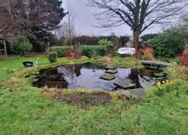 Pond before professional cleaning with algae and murky water in Sittingbourne, Swale, Kent