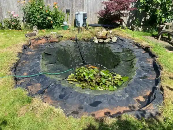 Restored pond after deep cleaning with clear water in Surrey