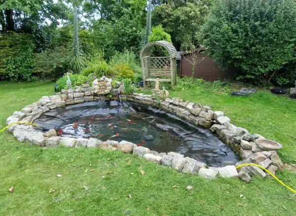 Pond after professional cleaning with clear water and healthy fish in Dover, Kent