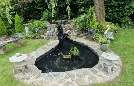 Clean pond after deep cleaning in South Essex