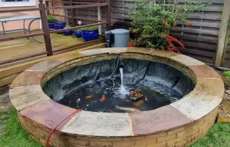 Clean pond after deep cleaning in Bexley London