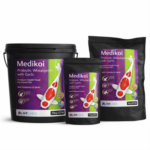 Medikoi Probiotic Wheatgerm with Garlic pond fish food in bucket and pouch sizes for koi and pond fish