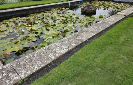 Historic Pond Prior to Renovation Works Historic estate pond before refurbishment and draining at Buckhurst Estate